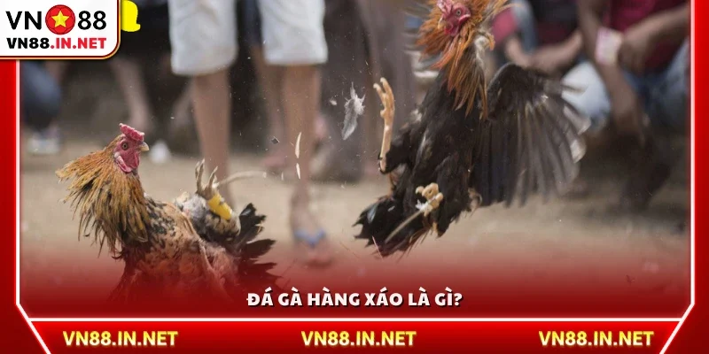 Đá gà hàng xáo là gì?