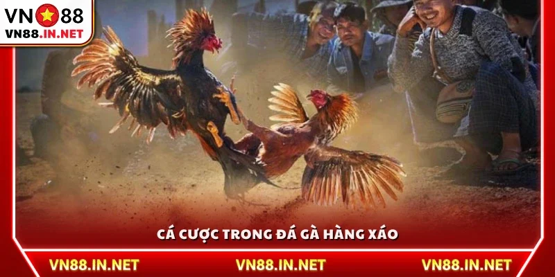 Cách thức cá cược trong đá gà hàng xáo