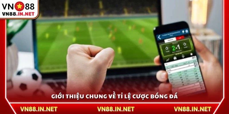 Tổng quan về tỉ lệ cược bóng đá