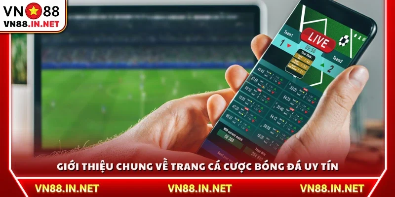 Giới thiệu cơ bản về những trang cá cược bóng đá