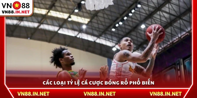 Những loại kèo thường gặp trong cá cược bóng rổ