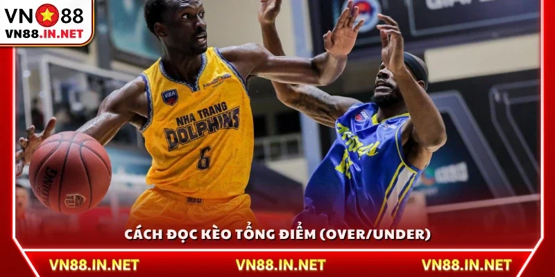 Hướng dẫn đọc tỷ lệ cá cược bóng rổ kèo Tài/Xỉu 